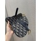 Dior Saddle 19.5cm wz