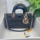 Dior Bag D-Joy 26x6x14cm