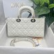 Dior Bag D-Joy 26x6x14cm