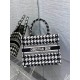 Dior Tote 26x8x22cm yz