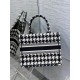 Dior Tote 26x8x22cm yz