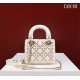 Dior Bag  Lady M050566 17x15x7cm 