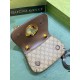 Gucci 724645 21X13.5X7cm DF