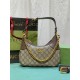 Gucci women Bags 731817 25X19X7cm DF