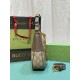 Gucci women Bags 731817 25X19X7cm DF