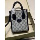 Gucci women Bags 671623 6X20X7cm DF