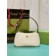 Gucci women Bags 739076 21X12X4cm DF