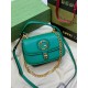 Gucci women Bags 735101 23X15X11cm DF