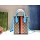 Gucci women Bags 671623 16X20X7cm DF