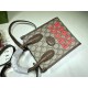 Gucci women Bags 671623 16X20X7cm DF