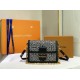 LV BAG Dauphine M44391 25cm