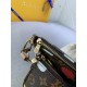 LV BAG Double Zip Pochette M46385 24X16X6cm