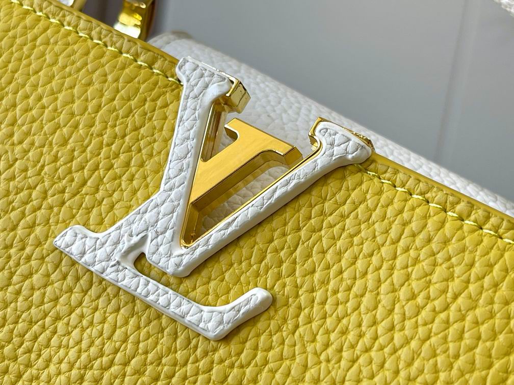 LV BAG Capucines M56848 21x14x8cm 