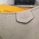 LV BAG Easy Pouch On Strap M80480 19X11.5X3cm