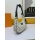 LV BAG Odeo WW66237 26X14X7CM