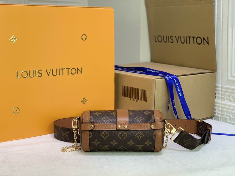 LV BAG Papillon 57835 20cm cs