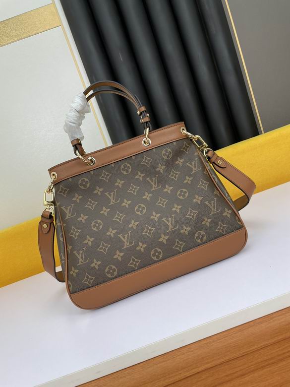 LV BAG Spring Street 66296 32X27X13 ww