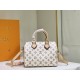 LV BAG Speedy M20852 25x19x15cm cs