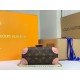 LV BAG Petite Malle Souple M45571 20x14x7.5cm