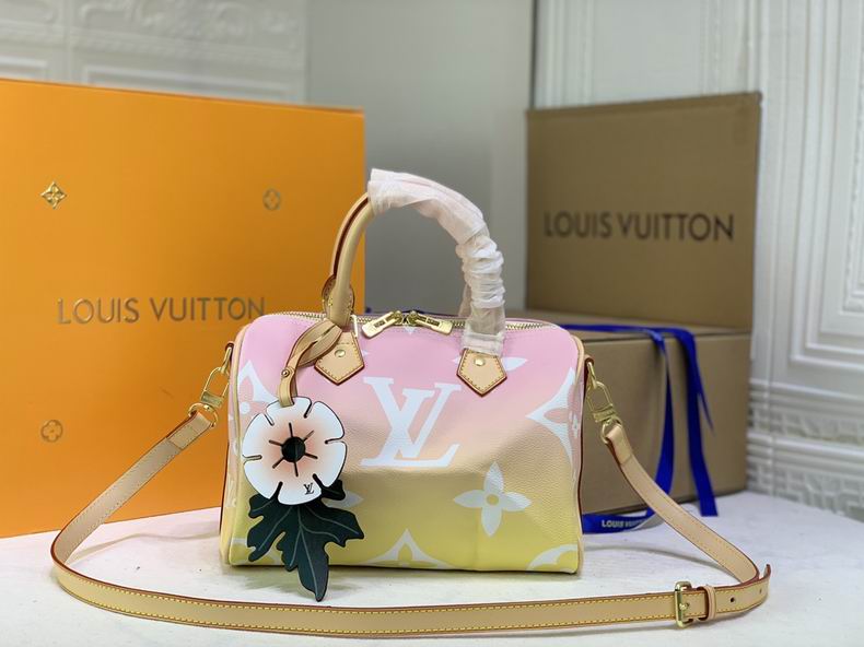 LV BAG Speedy M45724 25x19x15 cm cs