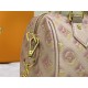 LV BAG Speedy M46166 20.5x13.5x12cm cs