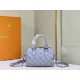 LV BAG Speedy M46166 20.5x13.5x12cm cs