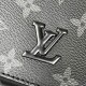 LV BAG District M46255 26x20x7cm CN