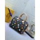 LV BAG Speedy M46433 25X19X15cm YG