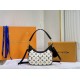 LV BAG Loop Odeo M56091 25x18cm