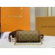 LV BAG Papillon Trunk M57835 20CM ss