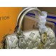 LV BAG Speedy M58631 22x12x17 cm cs