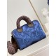 LV BAG Speedy M59009 25x19x15cm CN