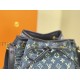 LV Bucket bag M5960601