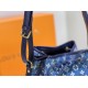 LV Bucket bag M5960601