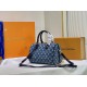 LV BAG Speedy M59609 25x19x15 cm cs