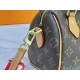 LV BAG Speedy M61255 20X15X12 CS