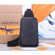 LV Chest pack N40097 20X31X10cm WP