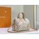 LV BAG Speedy N40473 25x19x15cm ss