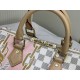 LV BAG Speedy N40473 25x19x15cm ss