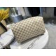 LV Bags Men N41369 35X23X18cm