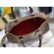 LV Bags Men N41369 35X23X18cm