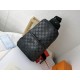 LV Chest pack N41719 20X31X10cm